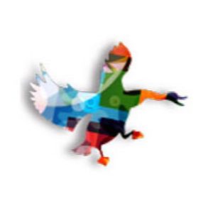 Wild Goose